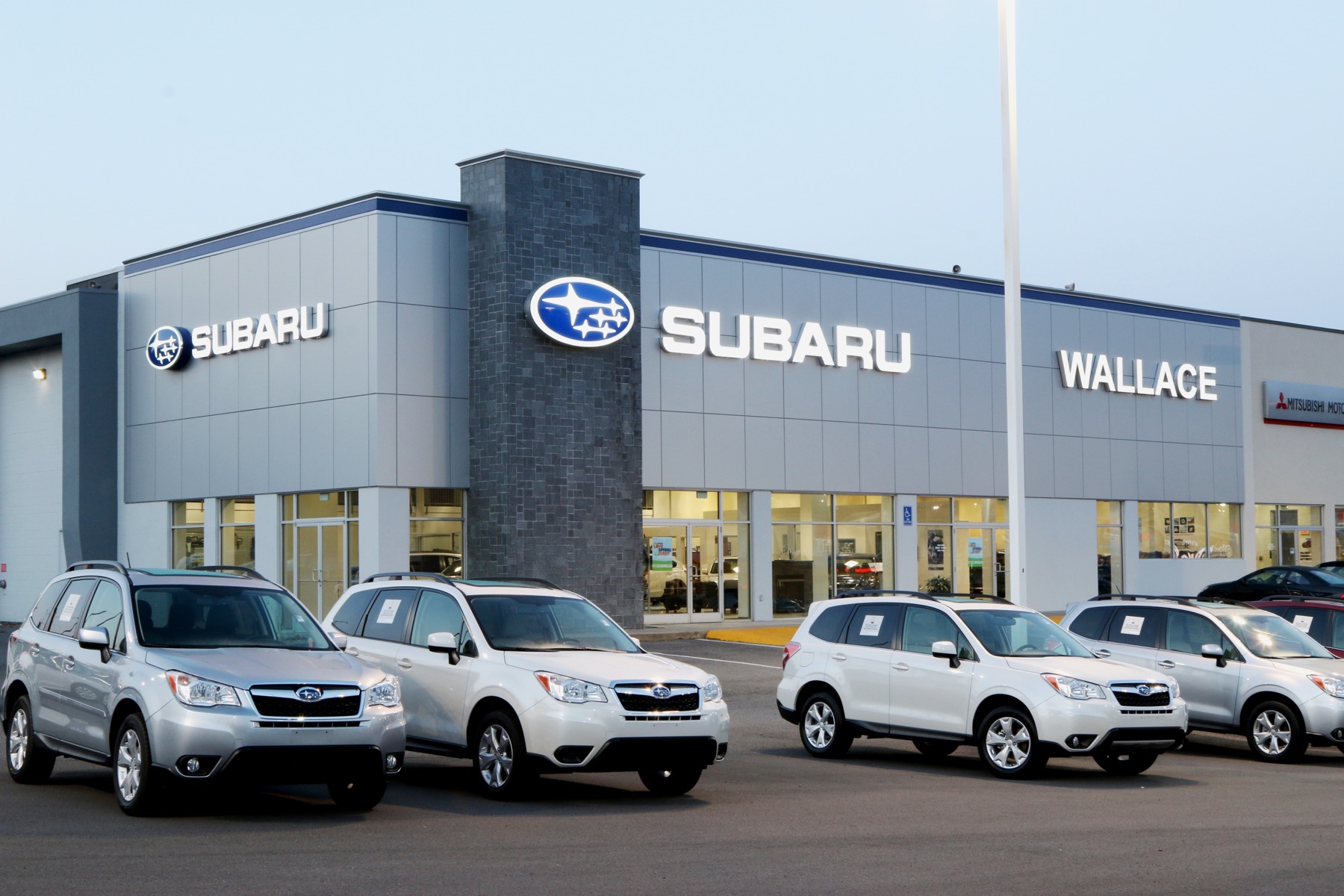 Shari – Wallace Subaru cover photo